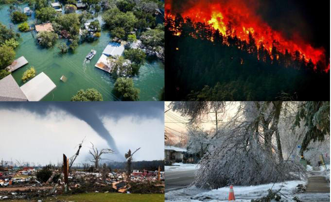 Đáp ứng của giám định pháp y đối với thảm họa: Cần được quan tâm để góp phần giảm bớt nỗi đau cho cộng đồng