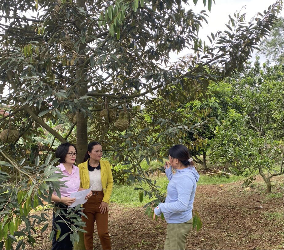 Tín dụng chính sách đã và đang chảy đều đặn, nảy mầm và sinh sôi trên quê hương Anh hùng Núp