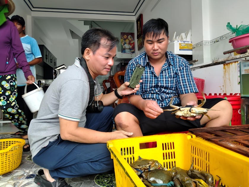  Về vùng Đất Mũi nghe bà con, chuyên gia chỉ cách chọn cua Cà Mau