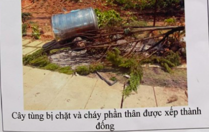 Vụ án hủy hoại tài sản tại Đà Lạt (Lâm Đồng): Vì sao các bị can liên tục kêu oan từ khi bị khởi tố?