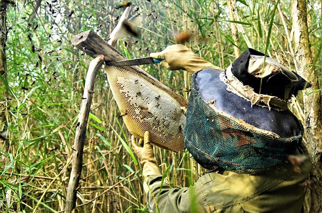 Tìm về nét đẹp di sản U Minh