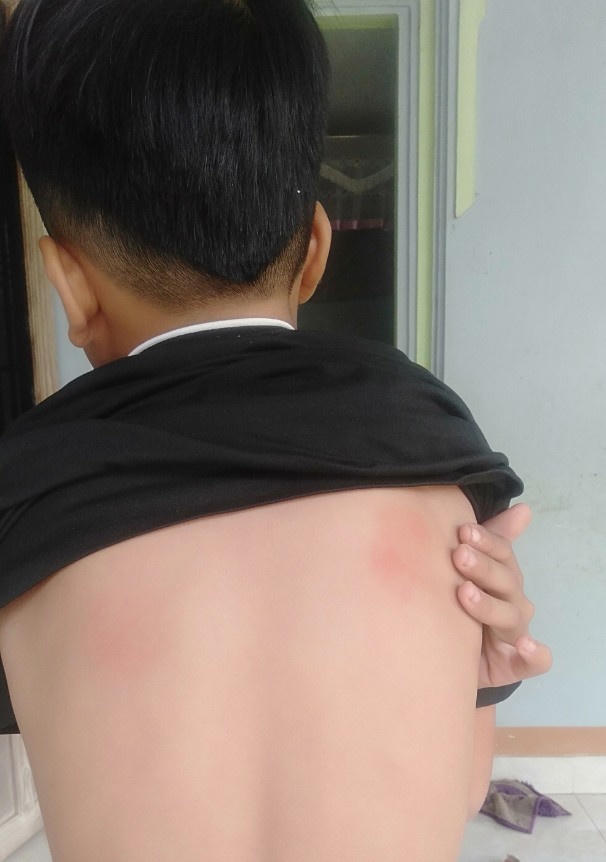 Vụ cô giáo bị học sinh xúc phạm: nhà trường 'làm ngơ', phụ huynh tố cáo cô giáo?