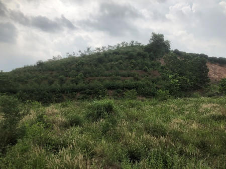 Hiệu quả trong đấu giá quyền khai thác khoáng sản tại Hải Dương