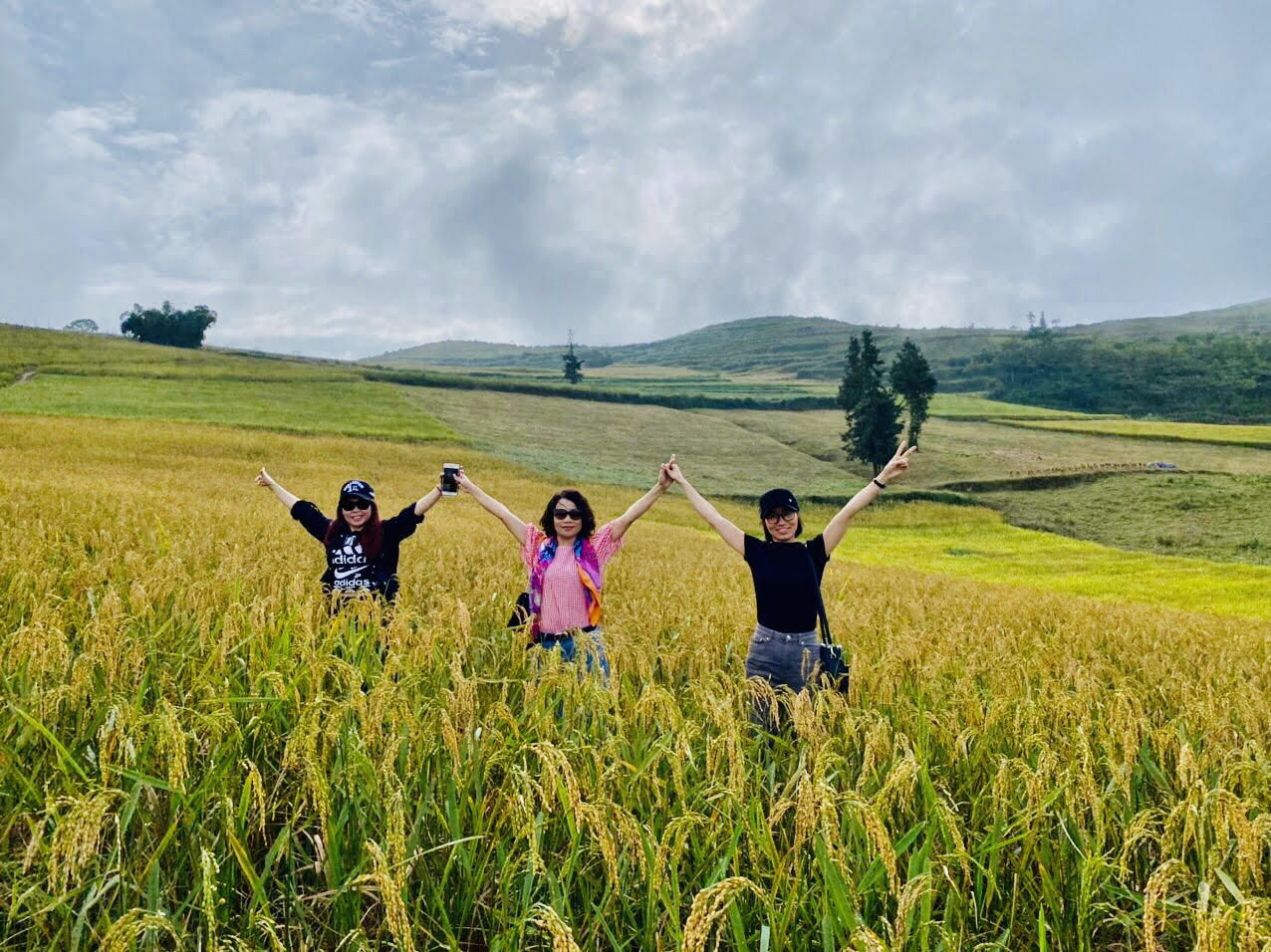 Sôi động tour du lịch Tết