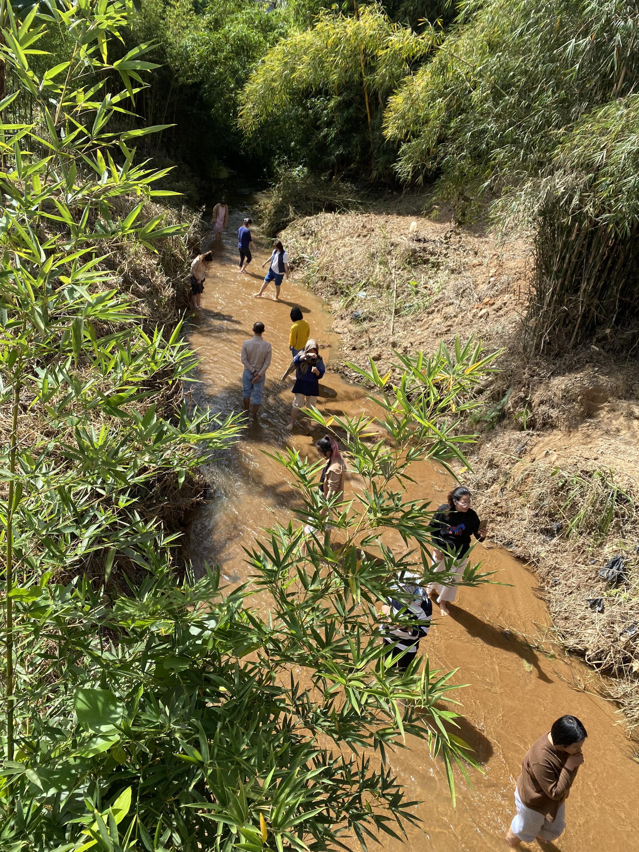 Khi người trẻ đi tìm sự chữa lành