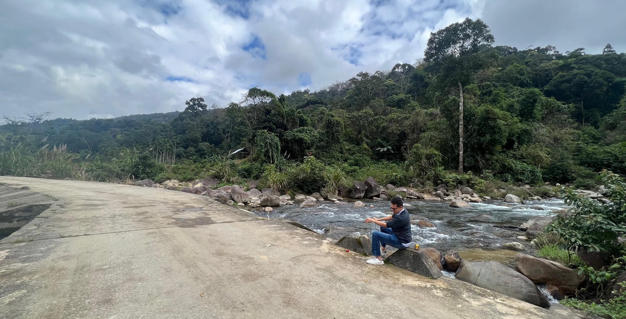 Nhiều vụ phá rừng tại lâm phần Công ty Lâm nghiệp Kon Plông 