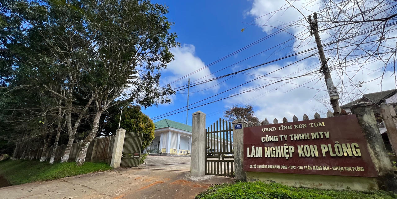 Nhiều vụ phá rừng tại lâm phần Công ty Lâm nghiệp Kon Plông 