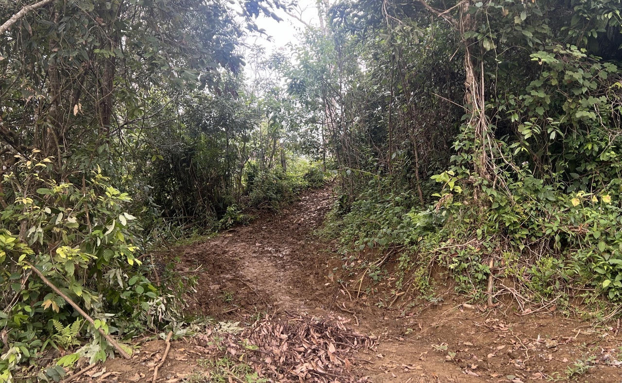 Kon Tum: Kỳ lạ những công trình kiên cố tại lâm phần Công ty TNHH MTV Lâm nghiệp Kon Plông