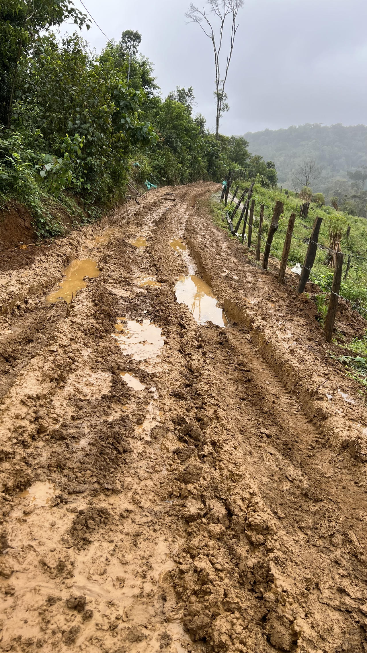 Kon Tum: Kỳ lạ những công trình kiên cố tại lâm phần Công ty TNHH MTV Lâm nghiệp Kon Plông