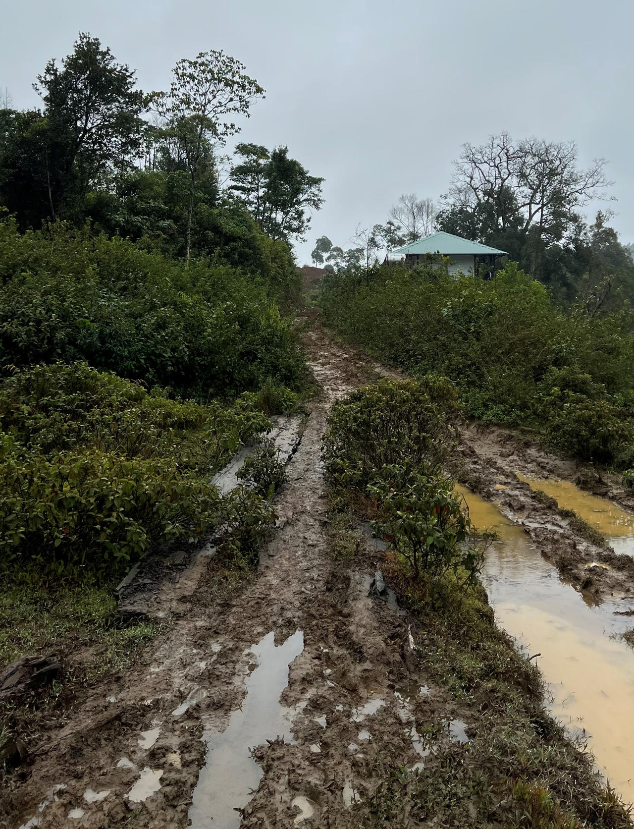 Kon Tum: Kỳ lạ những công trình kiên cố tại lâm phần Công ty TNHH MTV Lâm nghiệp Kon Plông