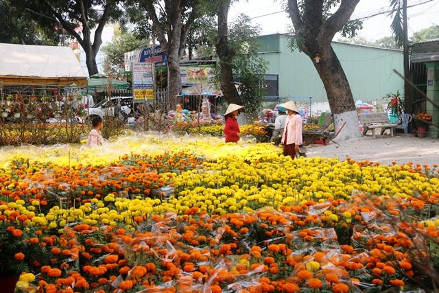 Ngày Tết, đi chợ quê miền sông nước