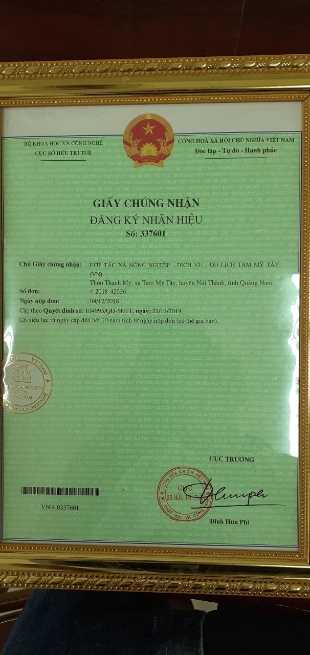 Nhớ nếp bầu quê