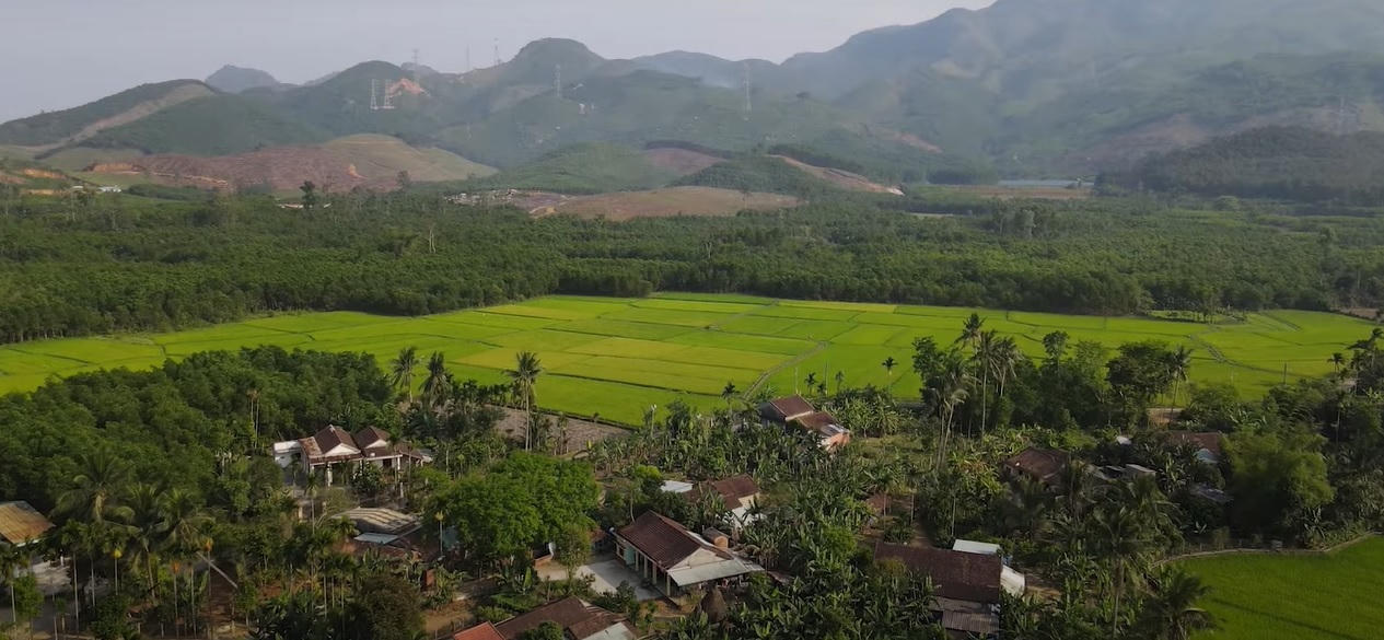 Nhớ nếp bầu quê