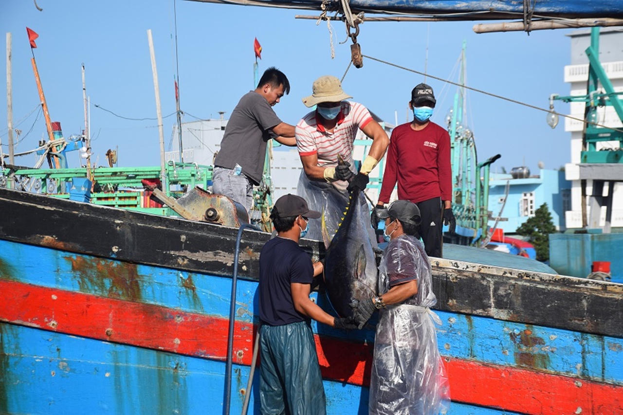 “Đèn pha đại dương” - món ăn phải thử khi đến xứ Nẫu