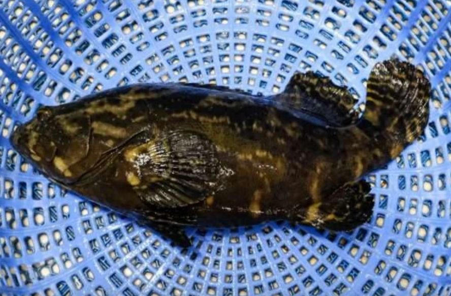 Những món quà thưởng Tết độc, lạ của các doanh nghiệp