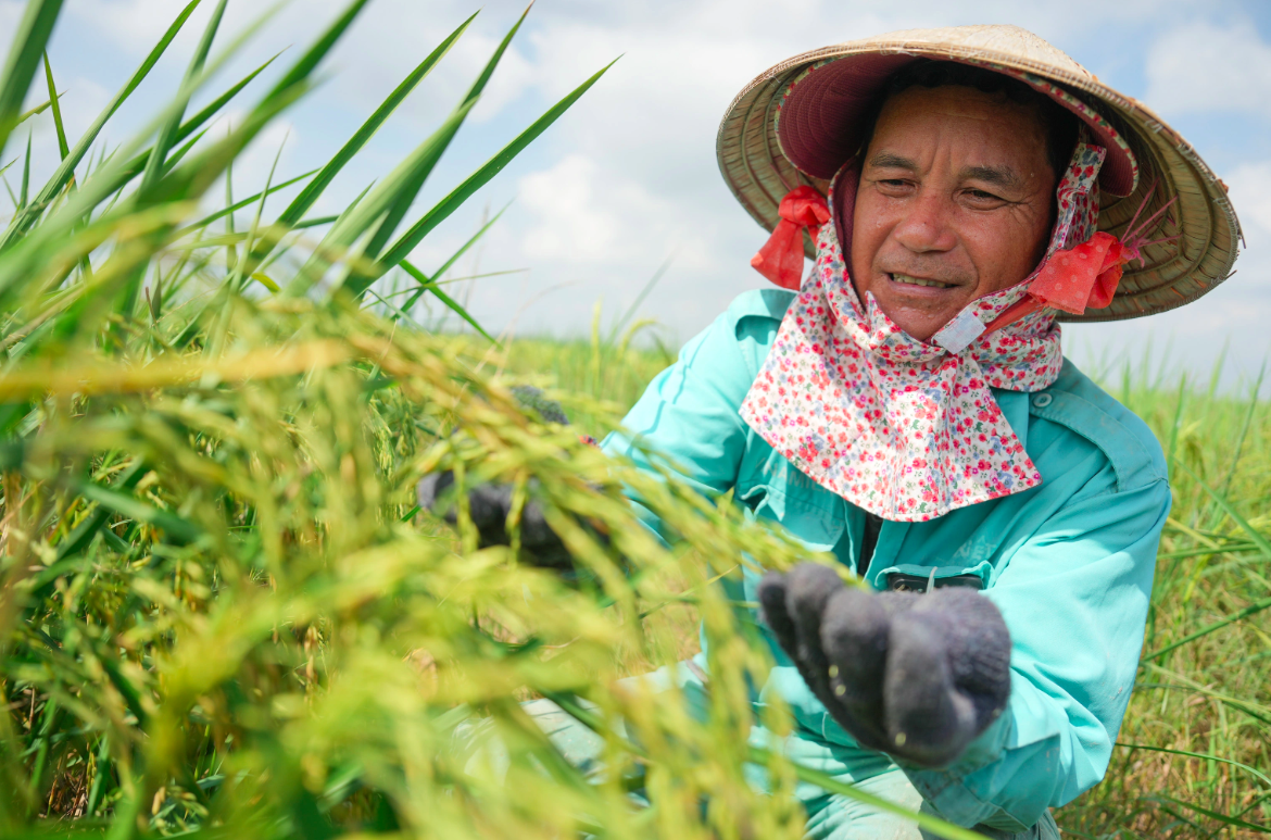 Những nỗ lực vì cộng đồng để xã hội thêm nhân văn, tốt đẹp