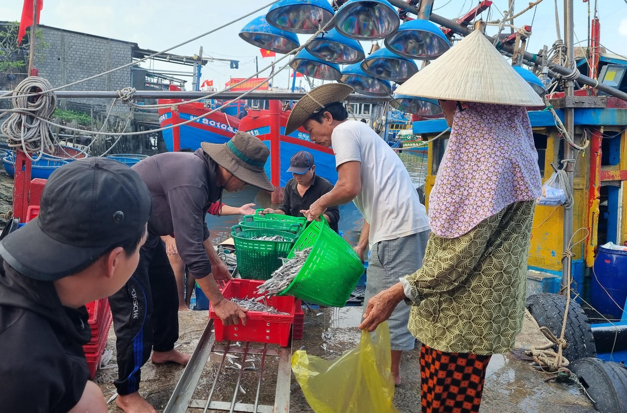 Hồ hởi đón 'lộc biển' đầu năm 