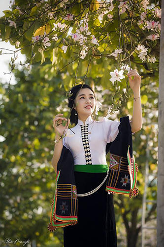 Về miền hoa ban thưởng thức 'Huyền tích UVA'