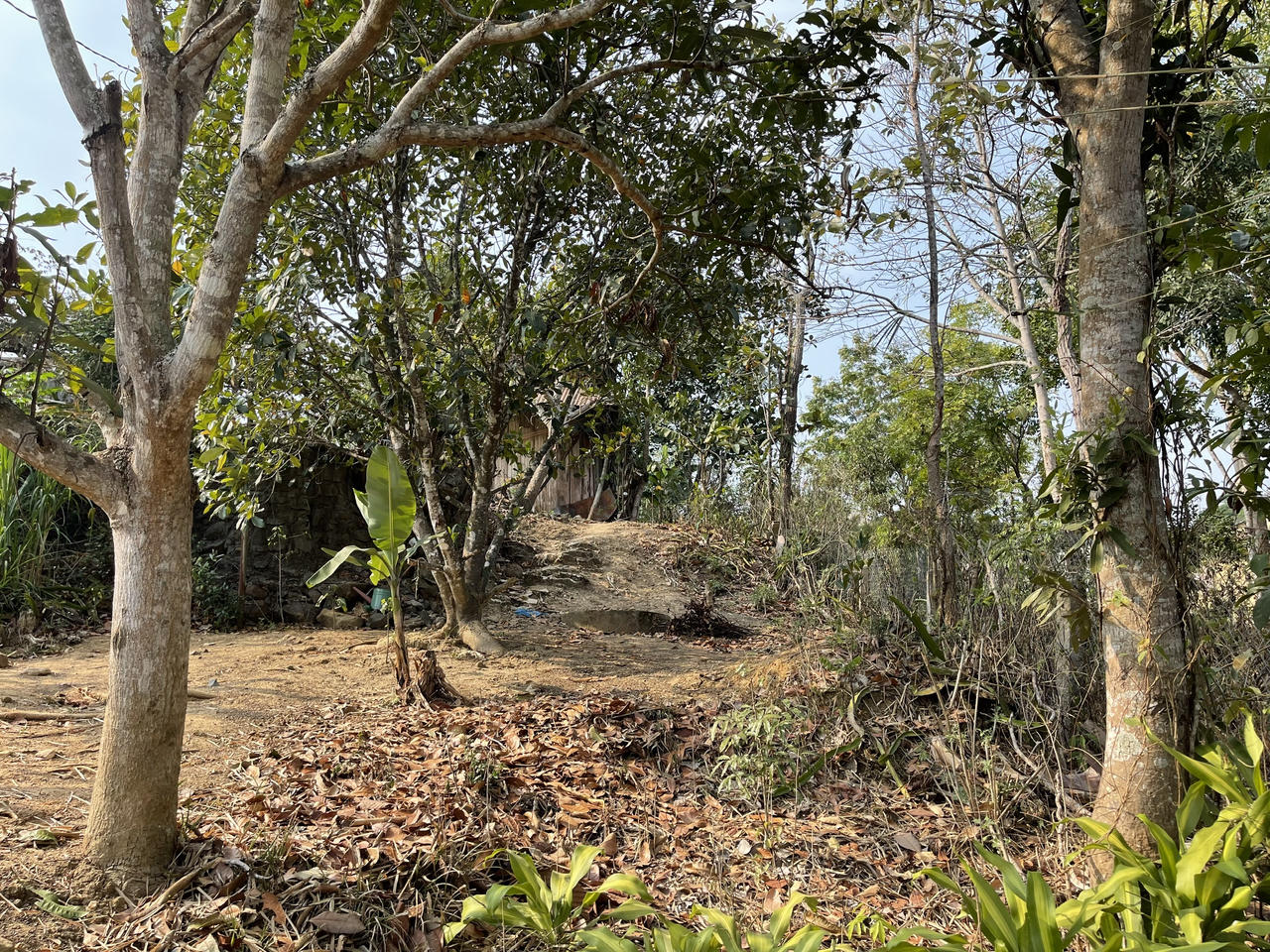 Cần làm rõ lý do một trường hợp bị từ chối cấp sổ đỏ tại Đức Trọng (Lâm Đồng)