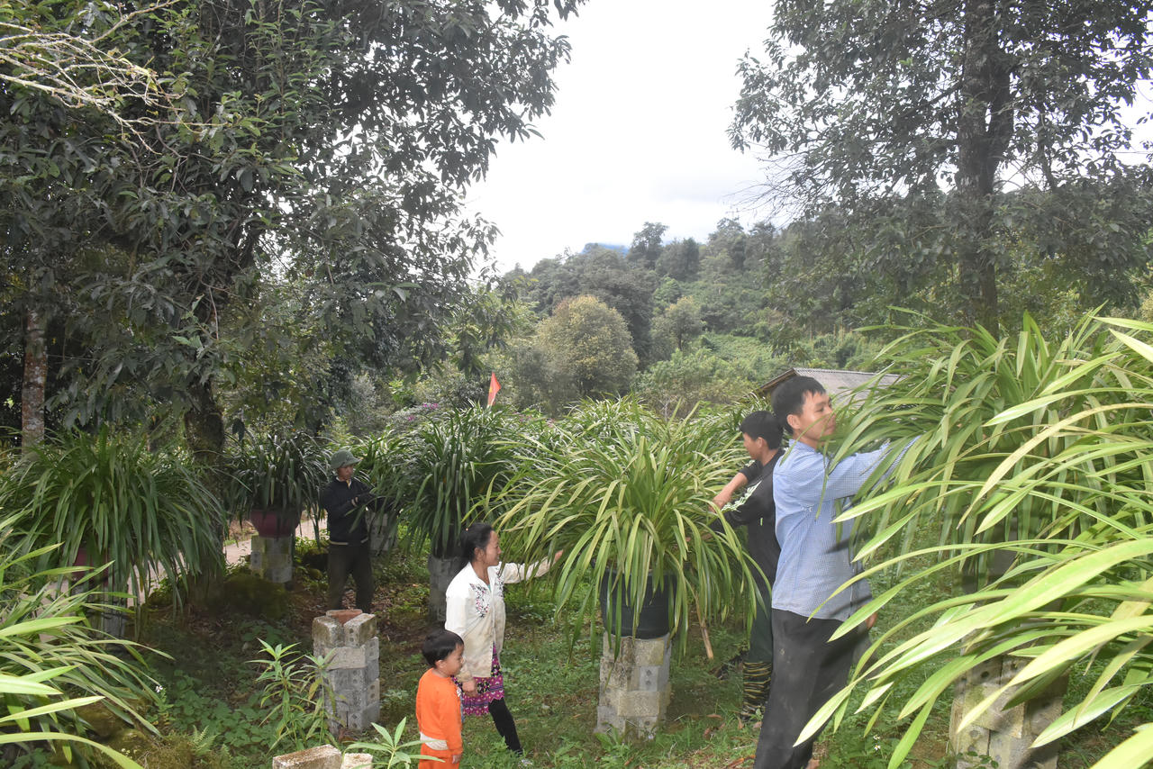 Khi người Mông làm du lịch...