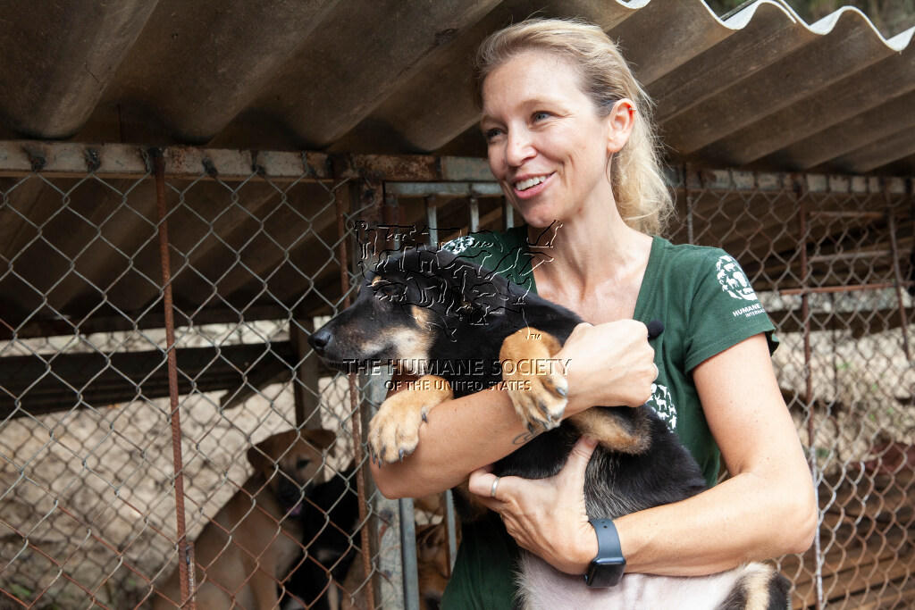 Cần nhiều giải pháp để phòng, chống bệnh dại