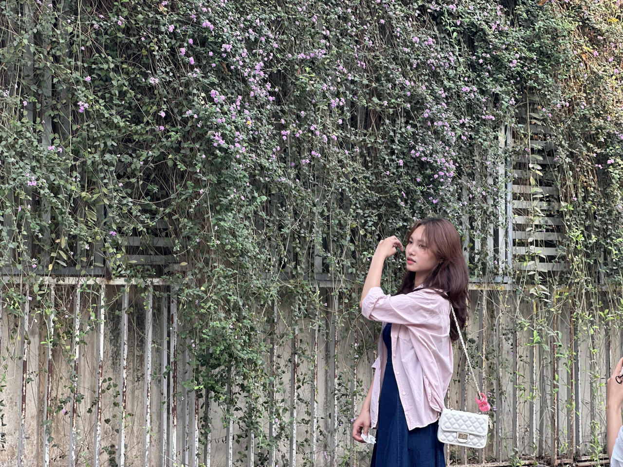 Giới trẻ 'vỡ mộng' đường hoa tím hot nhất mạng xã hội