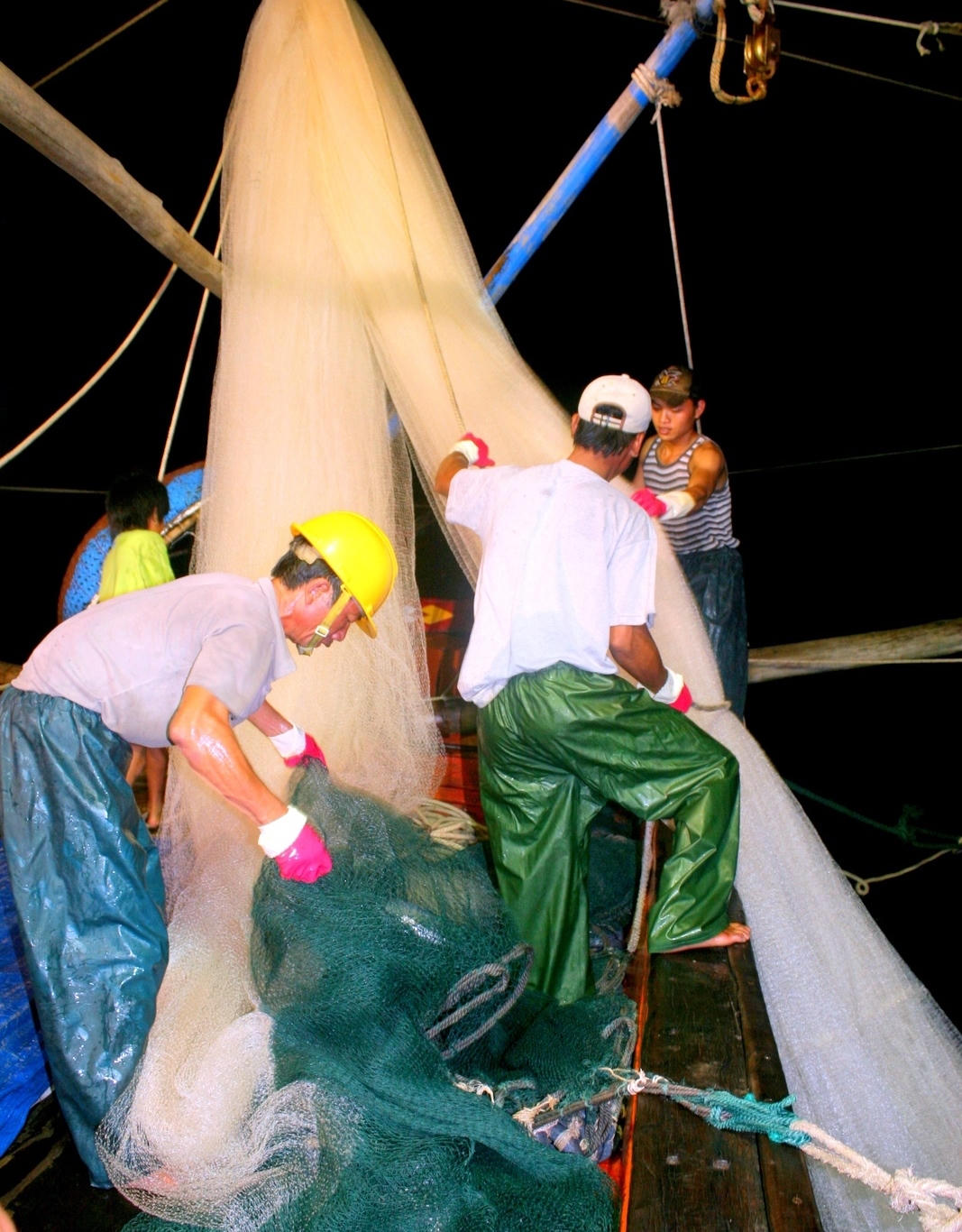 Niềm vui ngư dân được mùa