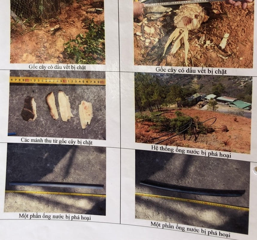 Mở lại phiên xử vụ hủy hoại tài sản tại Đà Lạt (Lâm Đồng): 'Không được nhìn trực tiếp tài sản mà định giá qua bản ảnh, số liệu'