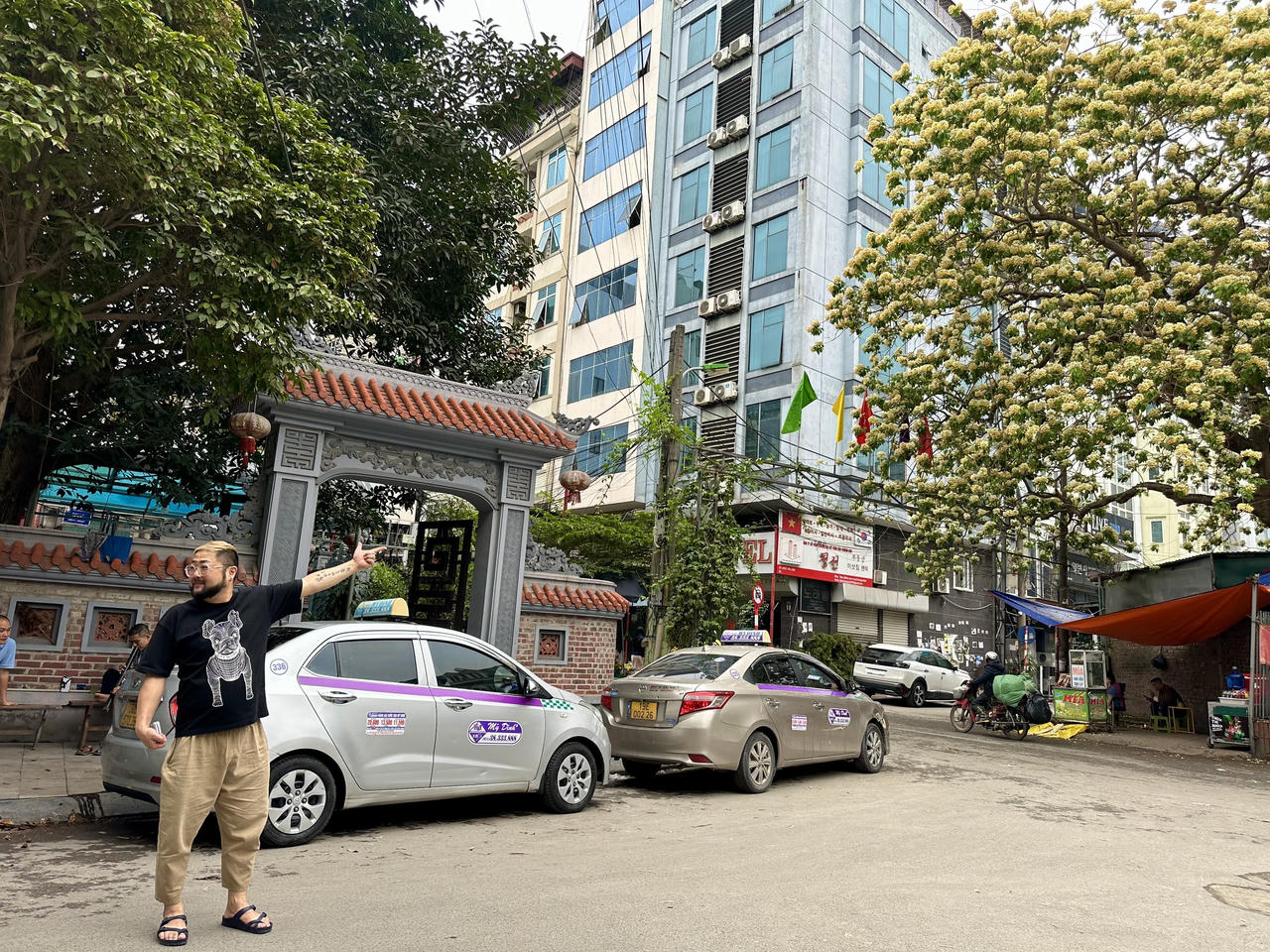 Loài cây được coi là 'báu vật’ khoe sắc vàng giữa lòng Hà Nội 