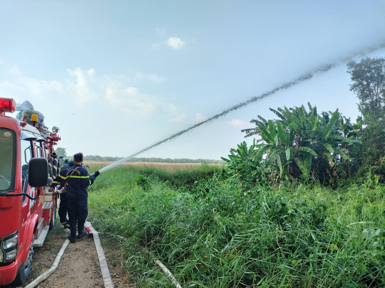 Cháy hàng chục ha rừng tràm tại Cà Mau