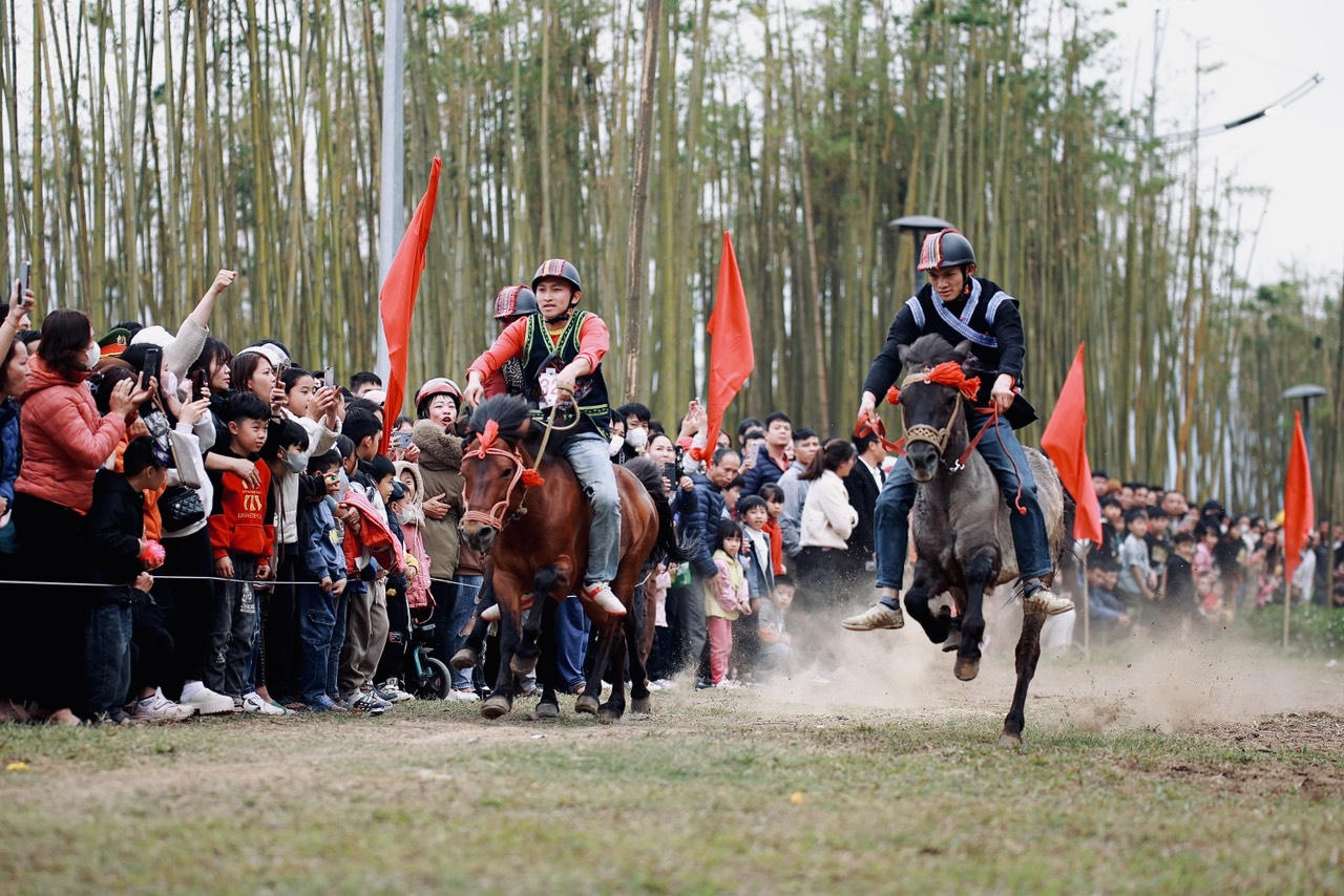 Đua ngựa trên miền sương trắng