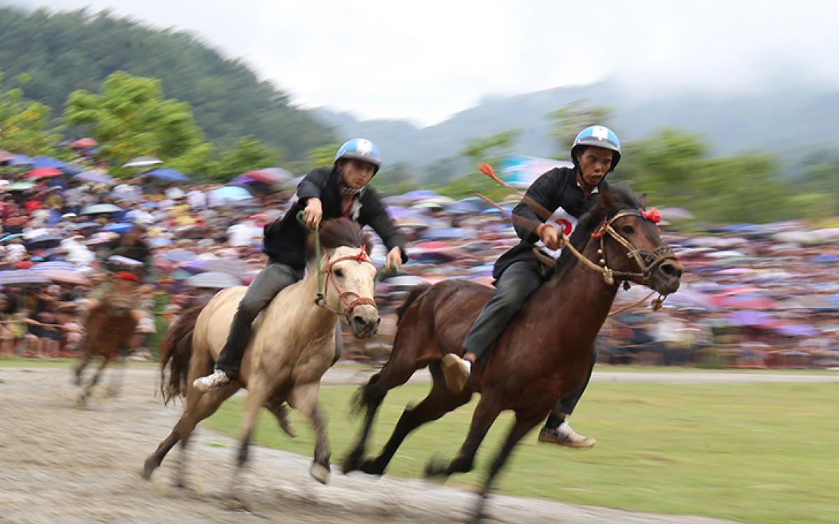 Đua ngựa trên miền sương trắng