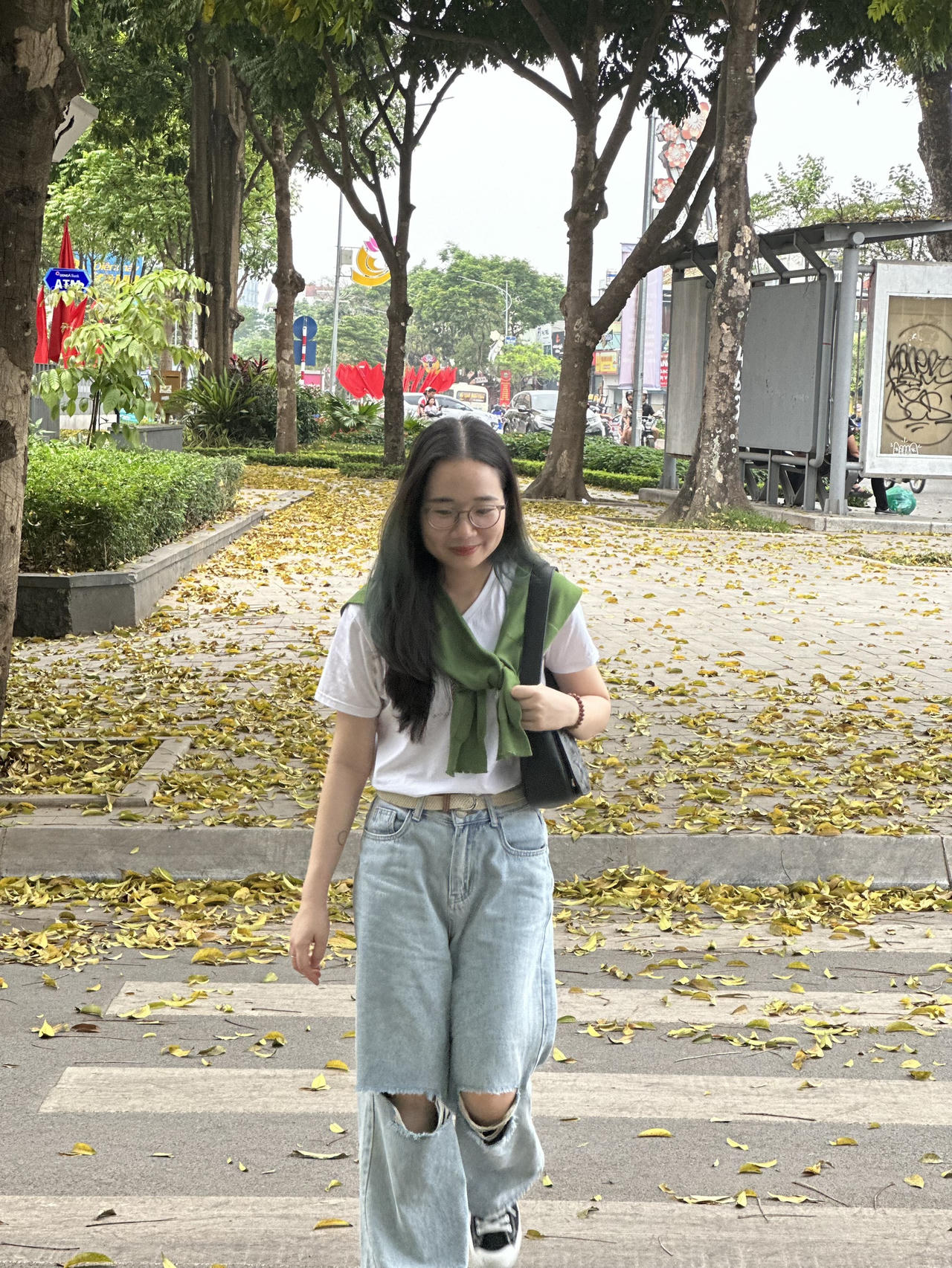 Hà Nội đẹp nao lòng mùa sấu trút lá