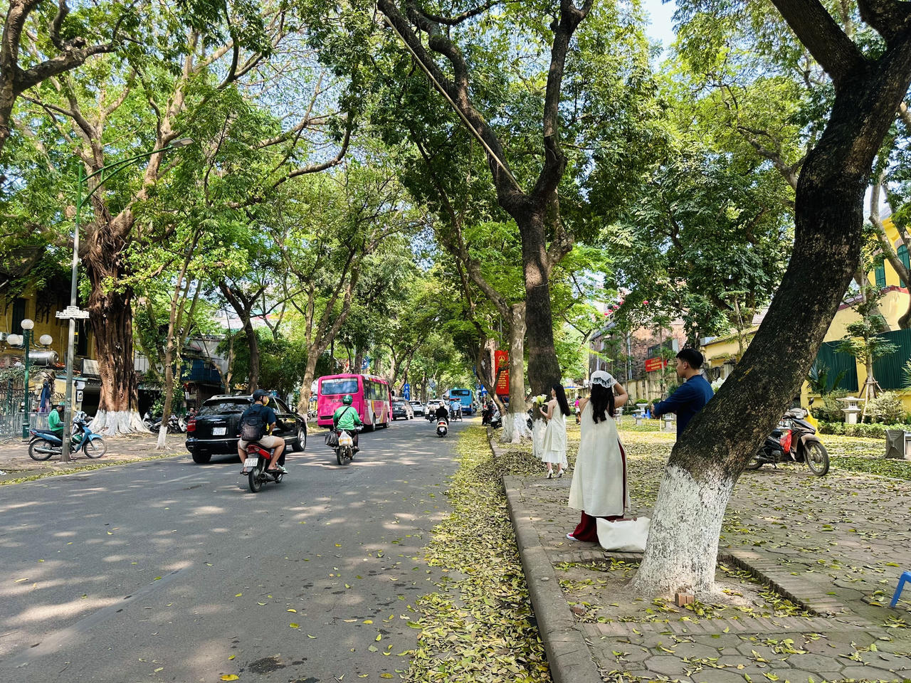 Hà Nội đẹp nao lòng mùa sấu trút lá