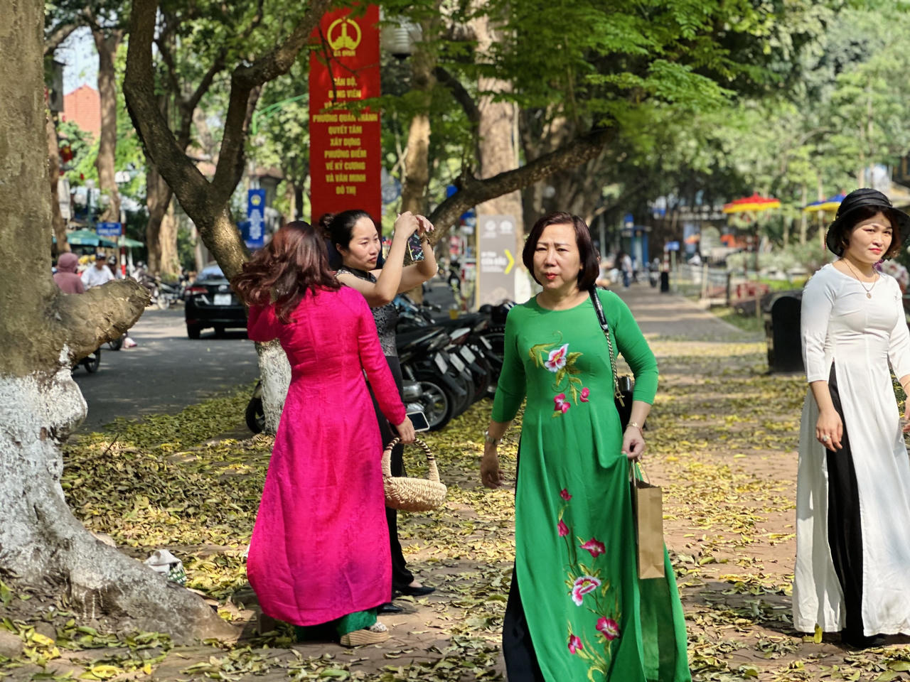 Hà Nội đẹp nao lòng mùa sấu trút lá