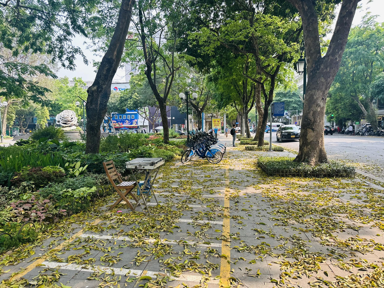 Hà Nội đẹp nao lòng mùa sấu trút lá