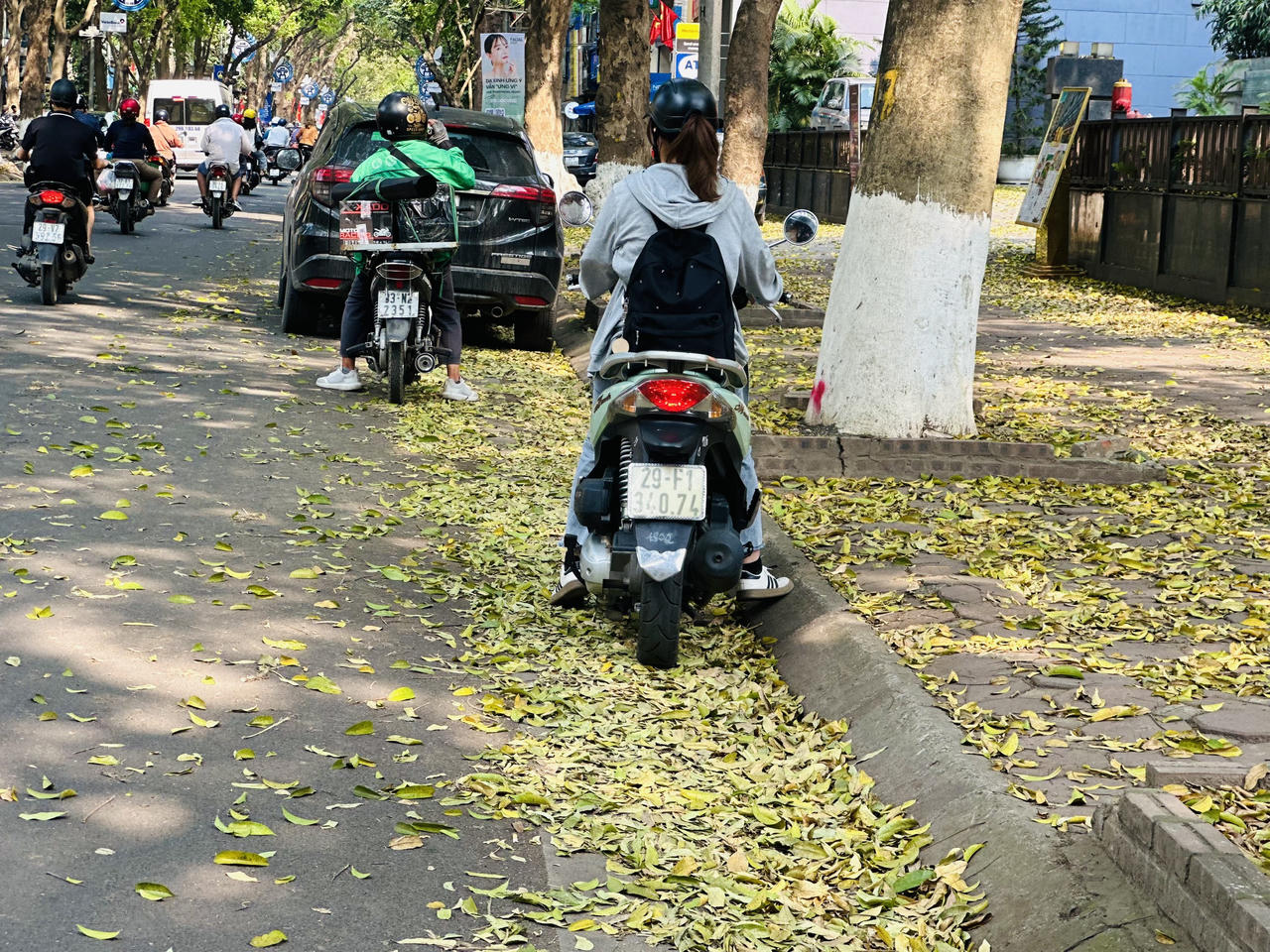 Hà Nội đẹp nao lòng mùa sấu trút lá