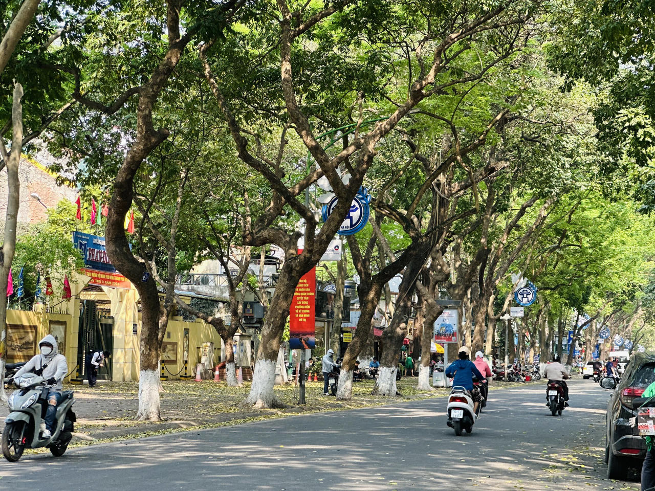 Hà Nội đẹp nao lòng mùa sấu trút lá