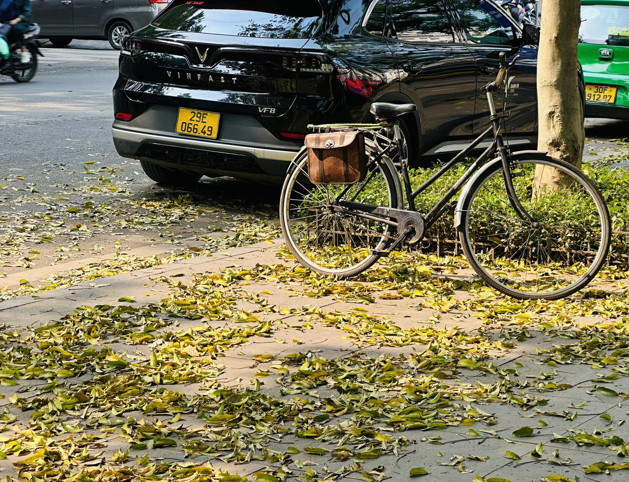 Hà Nội đẹp nao lòng mùa sấu trút lá