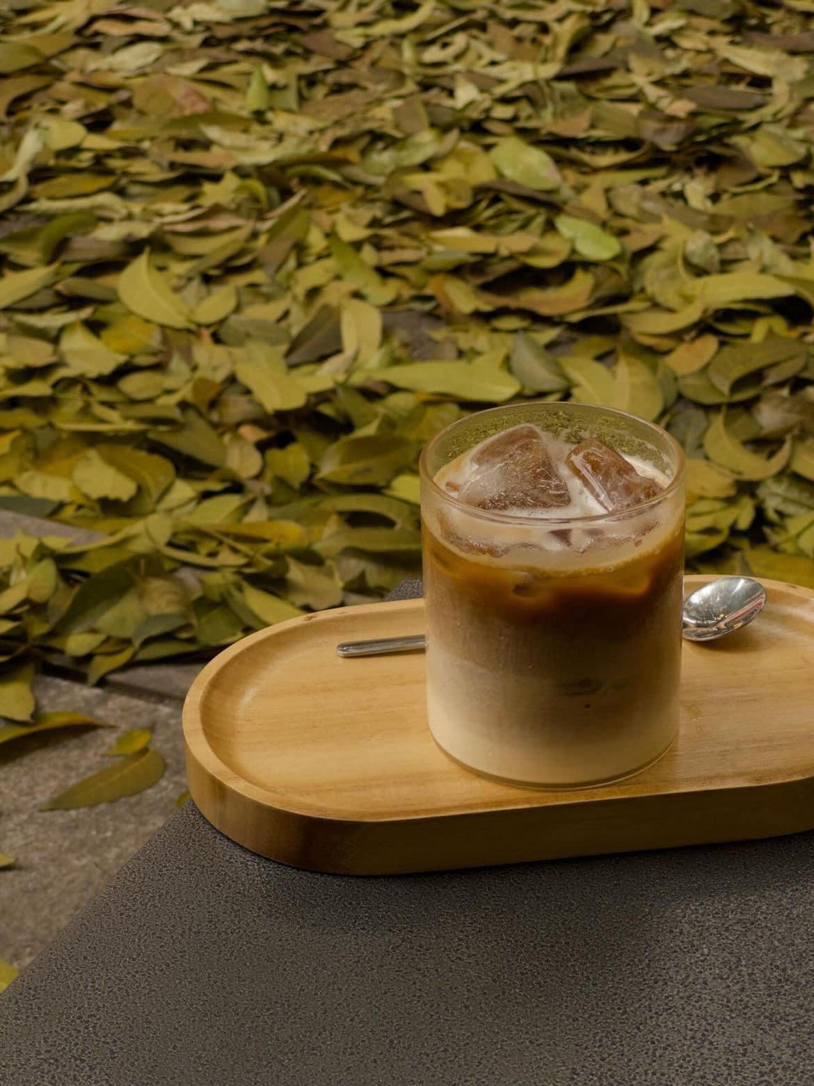 Hà Nội đẹp nao lòng mùa sấu trút lá