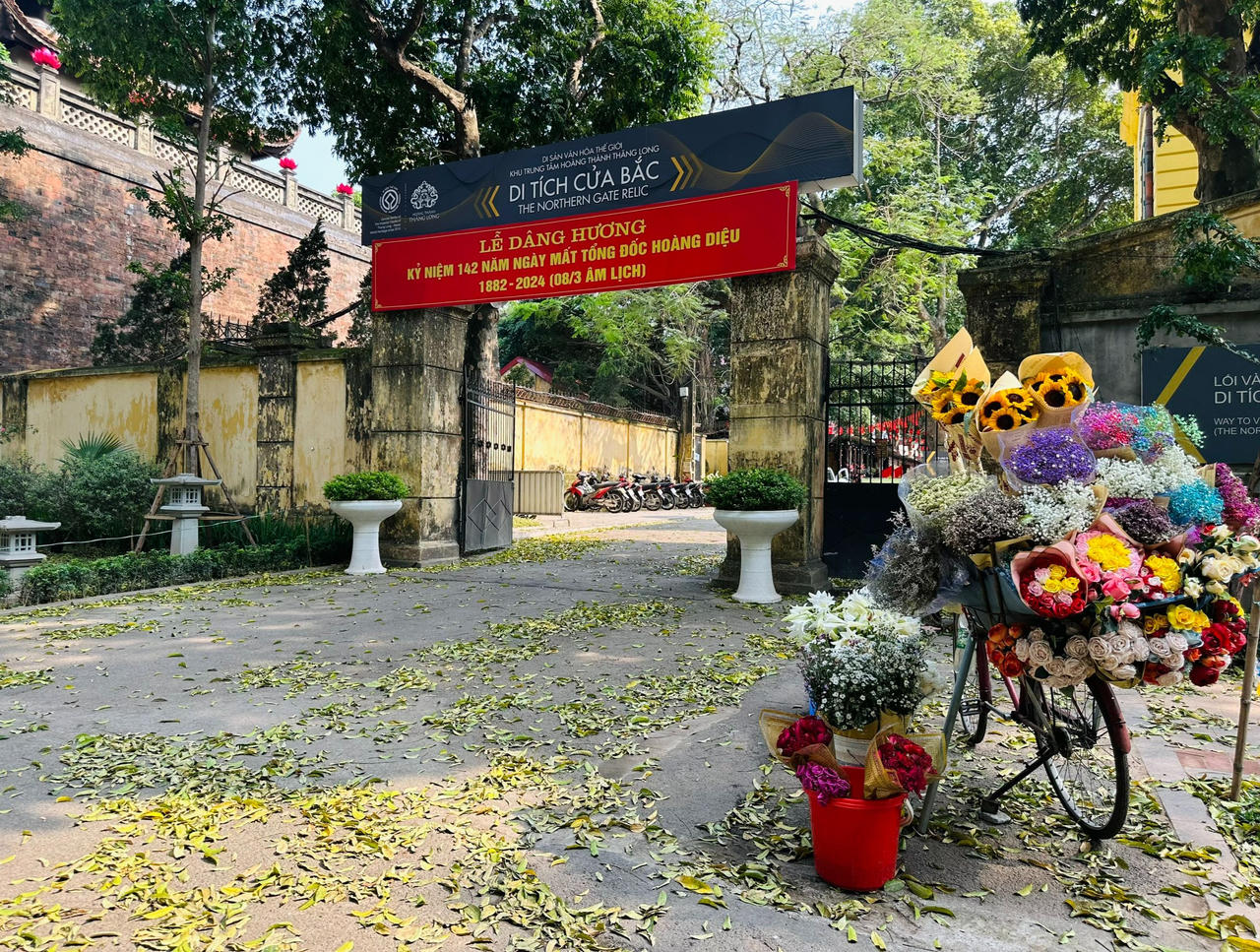 Hà Nội đẹp nao lòng mùa sấu trút lá