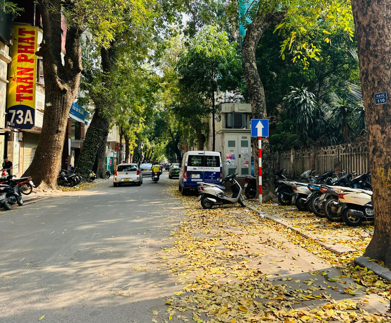 Hà Nội đẹp nao lòng mùa sấu trút lá