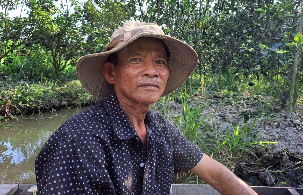 Nhiều vườn cam ở Trà Vinh 'càng trồng càng lỗ'