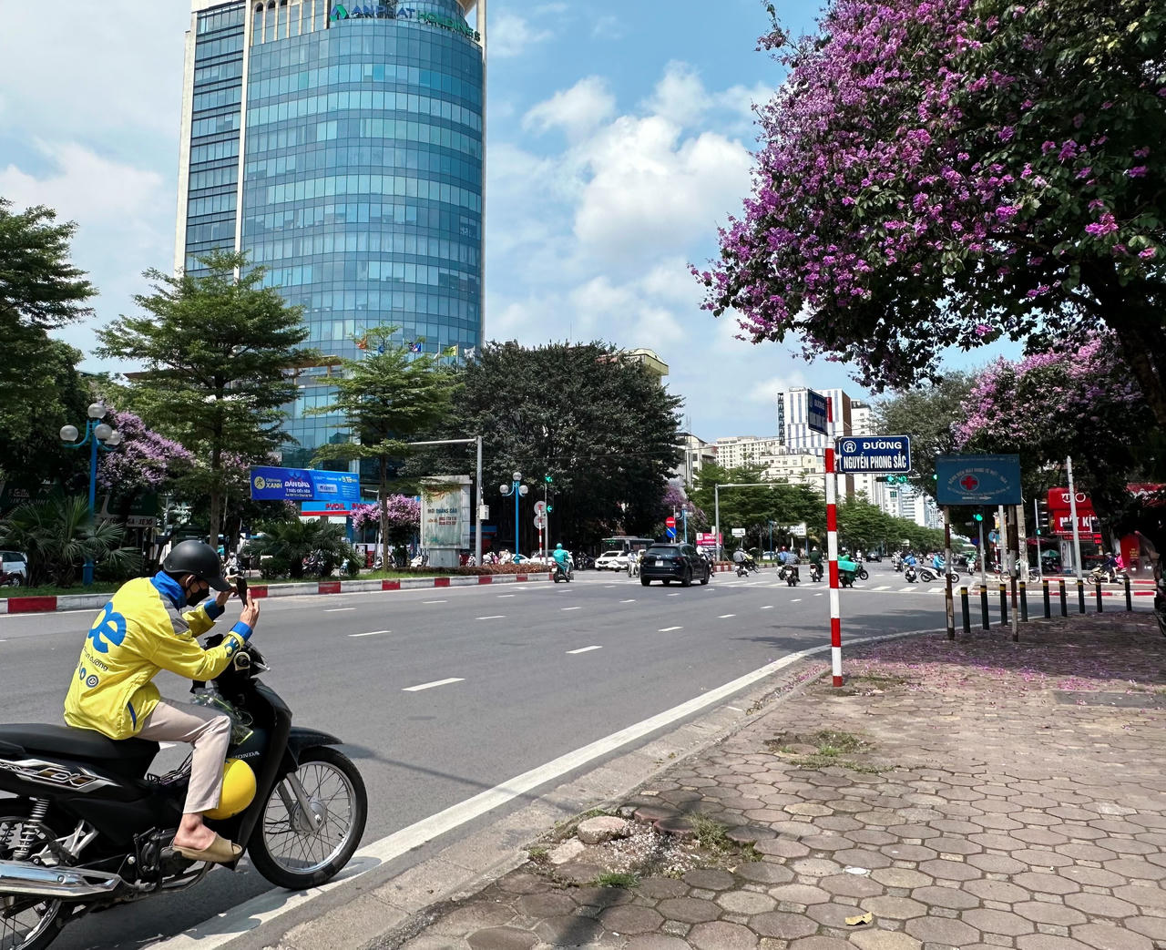 "Thành phố mùa hoa' dịu dàng trong sắc tím bằng lăng