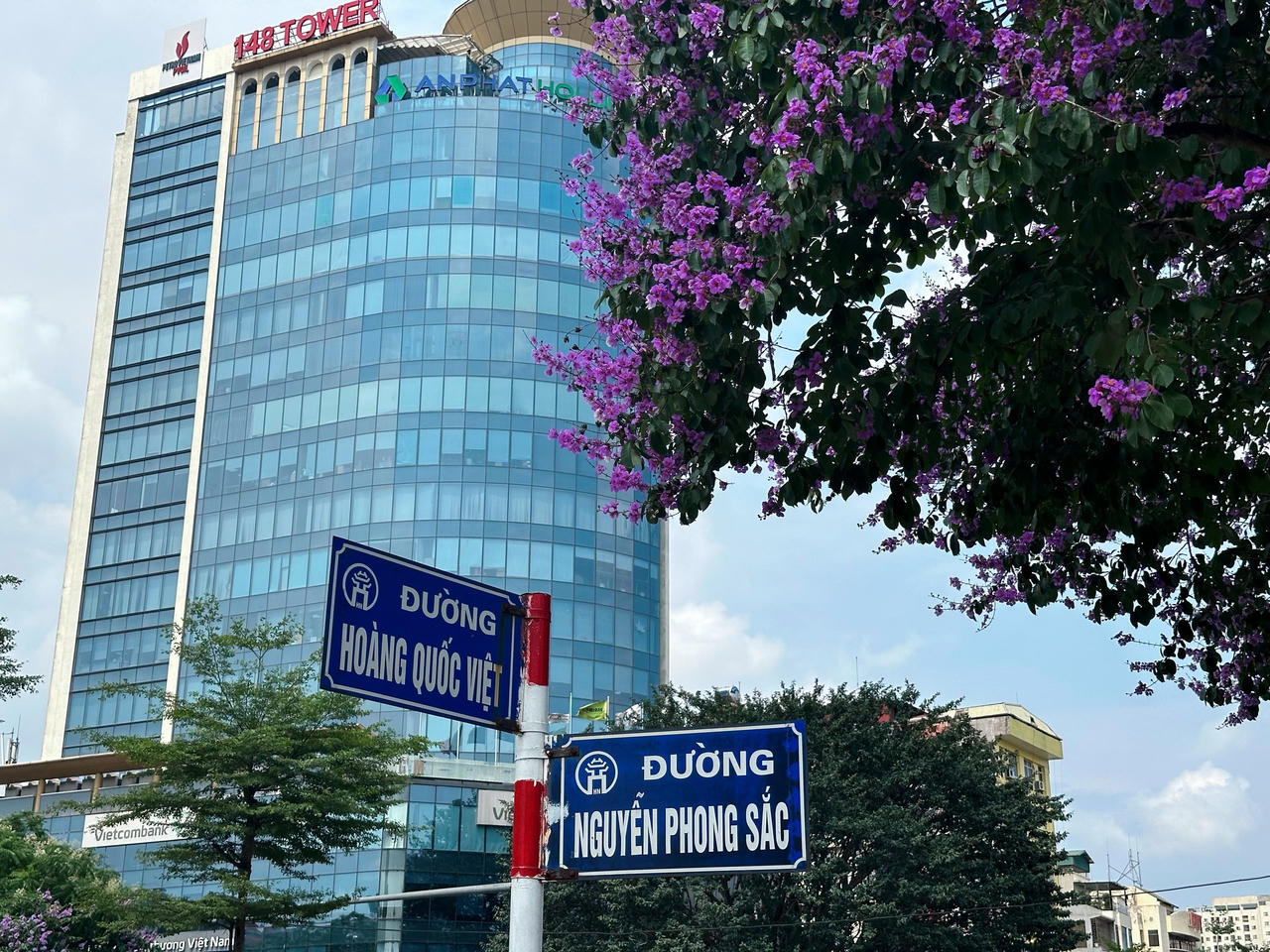 "Thành phố mùa hoa' dịu dàng trong sắc tím bằng lăng