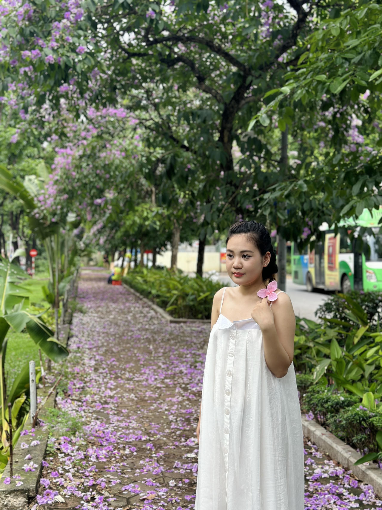 "Thành phố mùa hoa' dịu dàng trong sắc tím bằng lăng