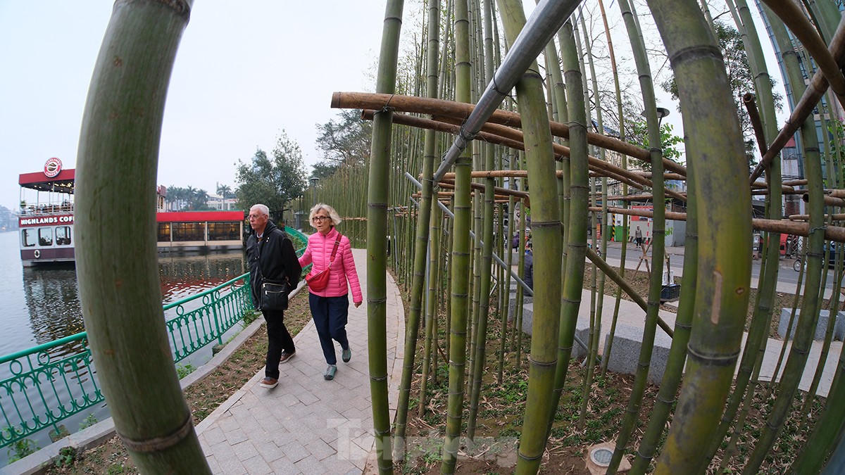 Hút hồn những rừng trúc đậm chất Việt