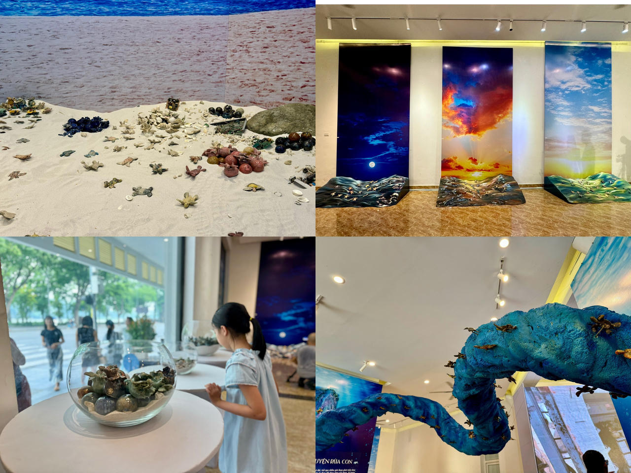 Phiêu lưu trong thế giới nghệ thuật rùa biển