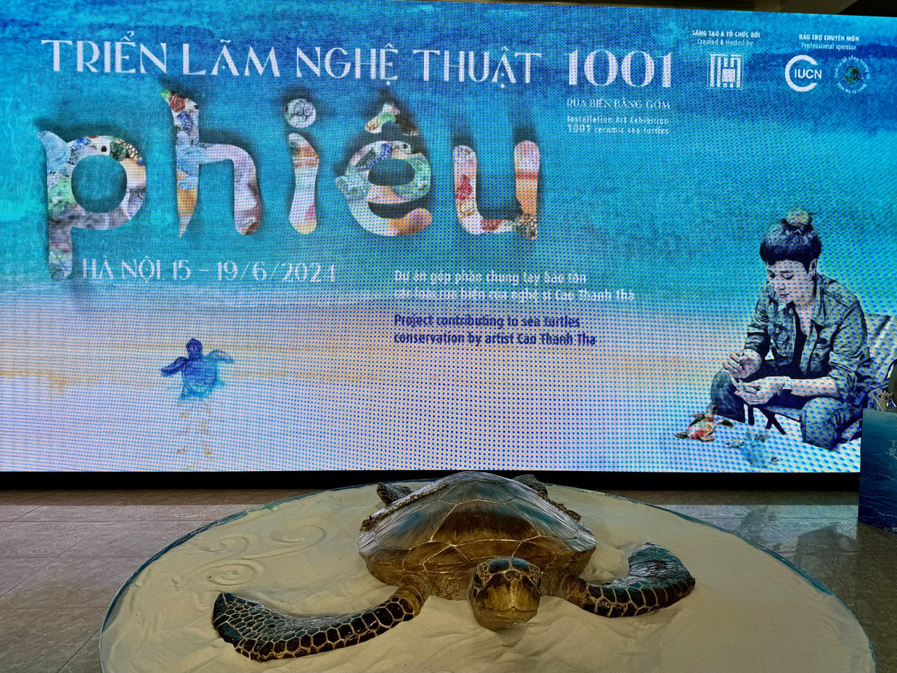 Phiêu lưu trong thế giới nghệ thuật rùa biển