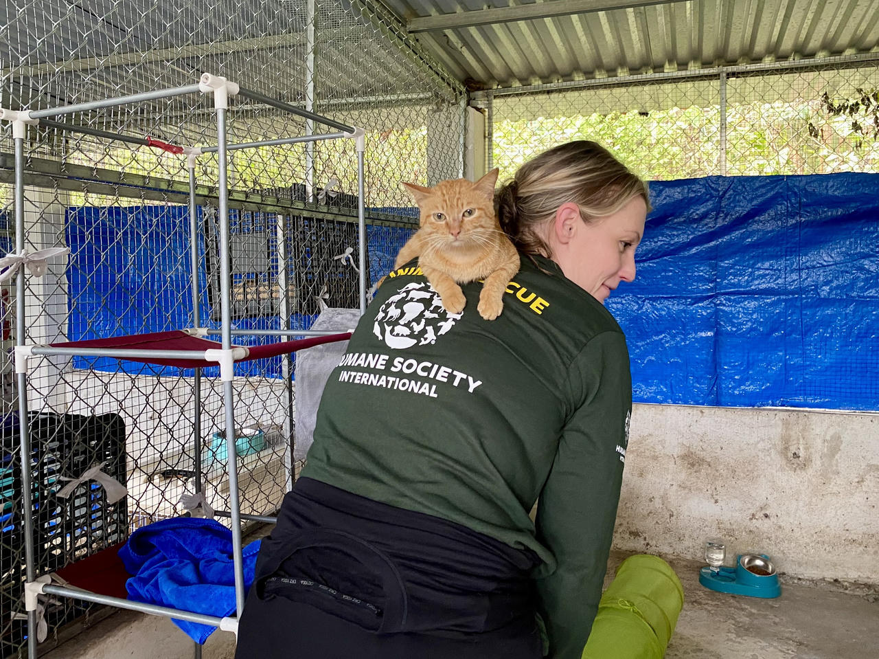 Hành trình từ lò mổ đến mái ấm bình yên